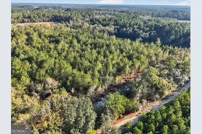 0 Beautiful Zion Cemetary Road, Pembroke, GA 31321 - Photo 9