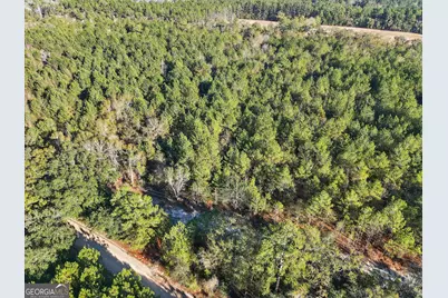 0 Beautiful Zion Cemetary Road, Pembroke, GA 31321 - Photo 11