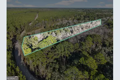 0 Beautiful Zion Cemetary Road, Pembroke, GA 31321 - Photo 1