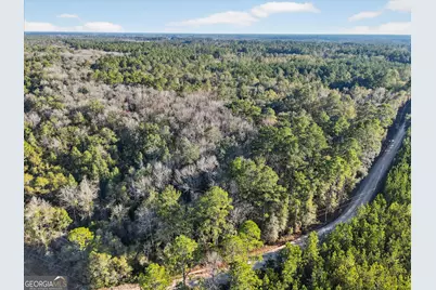 0 Beautiful Zion Cemetary Road, Pembroke, GA 31321 - Photo 3