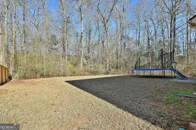 52 Fox Ridge Drive, Newnan, GA 30265 - Photo 29