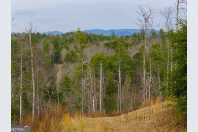 Tract A Hicks Ford Road, Ellijay, GA 30540 - Photo 5
