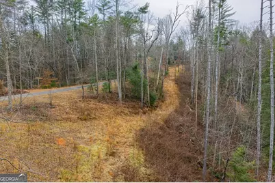 Tract A Hicks Ford Road, Ellijay, GA 30540 - Photo 3