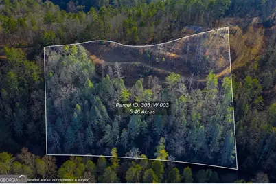 Tract B Hicks Ford Road, Ellijay, GA 30540 - Photo 3