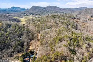 1131 Joe Davis Rd, Tiger, GA 30576 - Photo 43