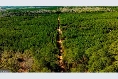 0 Mead Rd. & Cemetery Road, Ideal, GA 31041 - Photo 7