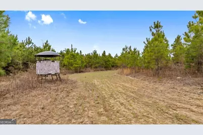 0 Mead Rd. & Cemetery Road, Ideal, GA 31041 - Photo 13