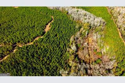 0 Mead Rd. & Cemetery Road, Ideal, GA 31041 - Photo 11