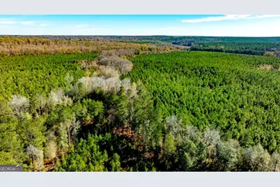 0 Mead Rd. & Cemetery Road, Ideal, GA 31041 - Photo 9