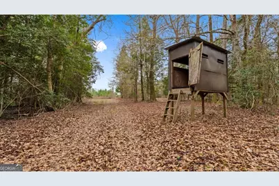 0 Mead Rd. & Cemetery Road, Ideal, GA 31041 - Photo 17