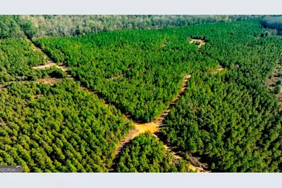 0 Mead Rd. & Cemetery Road, Ideal, GA 31041 - Photo 5