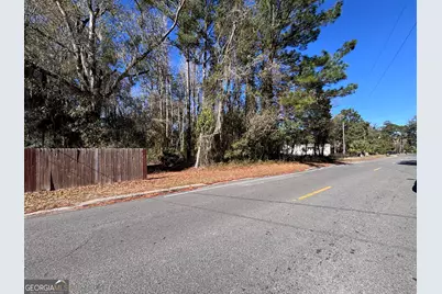 0 Martin Luther King Jr, Kingsland, GA 31548 - Photo 3