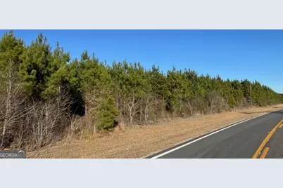 Lot 5 Whitfield Road, Elko, GA 31025 - Photo 1