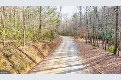 685 Chopped Oak Road, Ellijay, GA 30540 - Photo 49