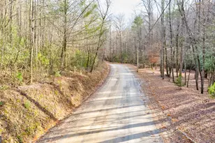 685 Chopped Oak Rd, Ellijay, GA 30540 - Photo 49
