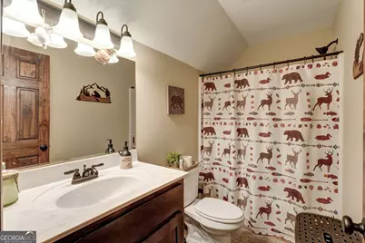 685 Chopped Oak Road, Ellijay, GA 30540 - Photo 25