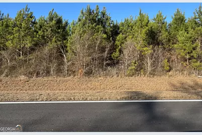 Lot 6 Whitfield Road, Elko, GA 31025 - Photo 1