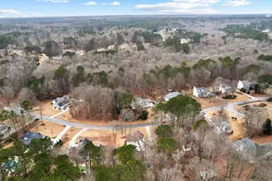 100 Sycamore Way, Sharpsburg, GA 30277 - Photo 51