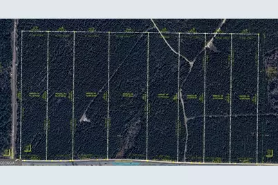 Lot 7 Whitfield Road, Elko, GA 31025 - Photo 3