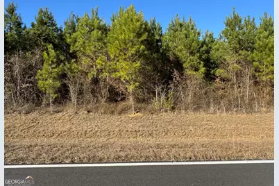 Lot 7 Whitfield Road, Elko, GA 31025 - Photo 5