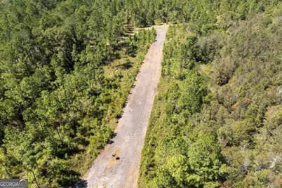 1603 D L Durrence Road, Reidsville, GA 30453 - Photo 11