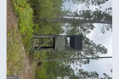 1603 D L Durrence Road, Reidsville, GA 30453 - Photo 25