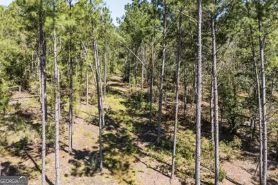 1603 D L Durrence Road, Reidsville, GA 30453 - Photo 7