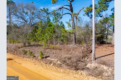 800 Listonia Road, Cordele, GA 31015 - Photo 7