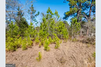 800 Listonia Road, Cordele, GA 31015 - Photo 9