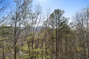 1140 Knollwood Rd, Mineral Bluff, GA 30559 - Photo 3