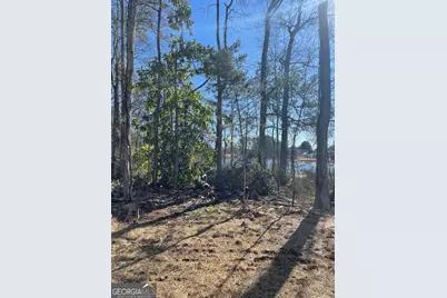 214 E Vine Street, Monroe, GA 30655 - Photo 27