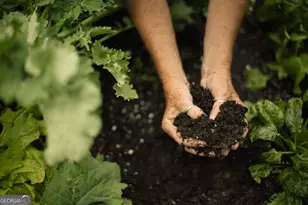 1111 Silverton Dr, Greensboro, GA 30642 - Photo 61