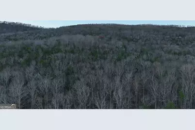 0 Hicks Hollow Road, Trenton, GA 30752 - Photo 11