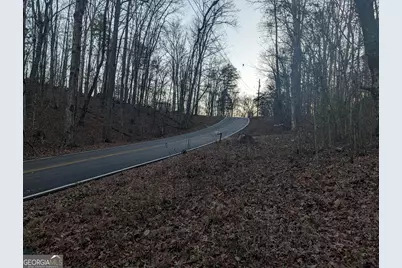 0 Hicks Hollow Road, Trenton, GA 30752 - Photo 3