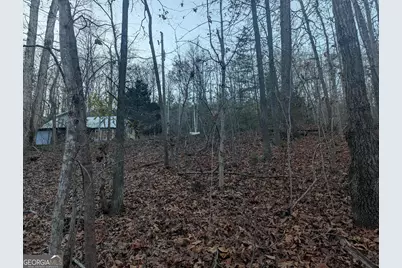 0 Hicks Hollow Road, Trenton, GA 30752 - Photo 5