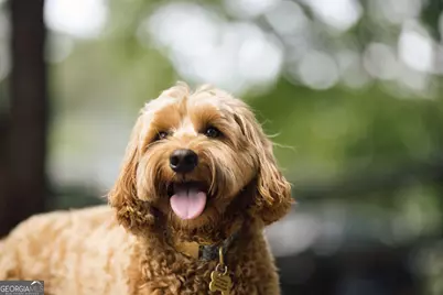 1121 Silverton Drive, Greensboro, GA 30642 - Photo 15