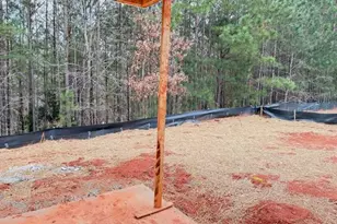 1131 Silverton Dr, Greensboro, GA 30642 - Photo 7