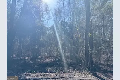 138-140 Dogwood Lane, Midway, GA 31320 - Photo 3