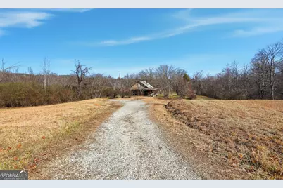 2558 Stonepile Road, Clarkesville, GA 30523 - Photo 7