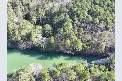 15 +/- Acres On E. Hermitage Road, Kingston, GA 30145 - Photo 17