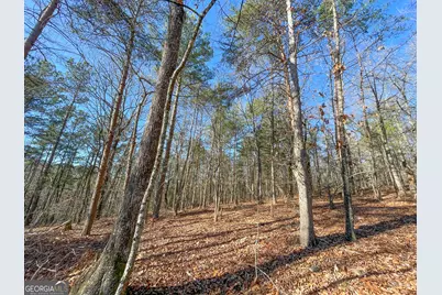 15 +/- Acres On E. Hermitage Road, Kingston, GA 30145 - Photo 15