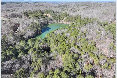 15 +/- Acres On E. Hermitage Road, Kingston, GA 30145 - Photo 11