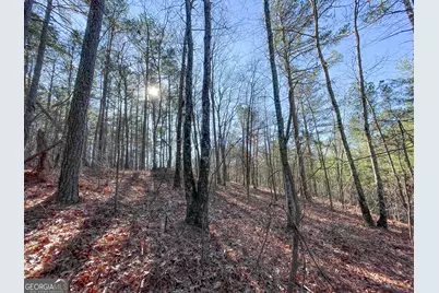 15 +/- Acres On E. Hermitage Road, Kingston, GA 30145 - Photo 27