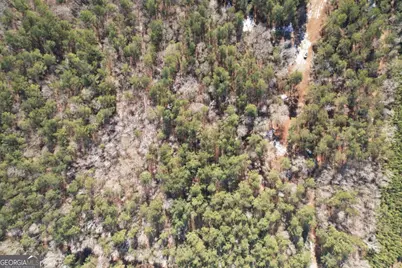 675 Jackson Road, Wrightsville, GA 31096 - Photo 5