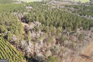 675 Jackson Rd, Wrightsville, GA 31096 - Photo 1