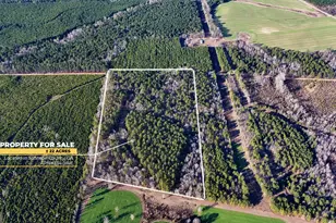 675 Jackson Rd, Wrightsville, GA 31096 - Photo 1