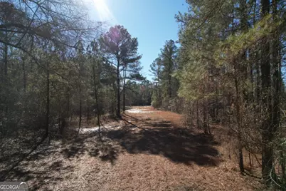 675 Jackson Road, Wrightsville, GA 31096 - Photo 9