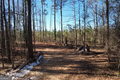 675 Jackson Road, Wrightsville, GA 31096 - Photo 13