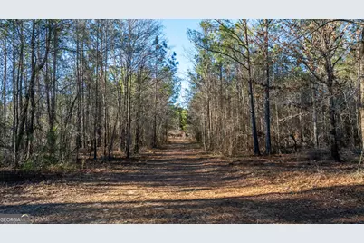 675 Jackson Road, Wrightsville, GA 31096 - Photo 9