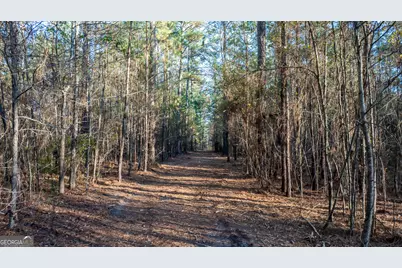 675 Jackson Road, Wrightsville, GA 31096 - Photo 11